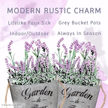 Butterfly Craze Lavender in Rustic Planters for Home