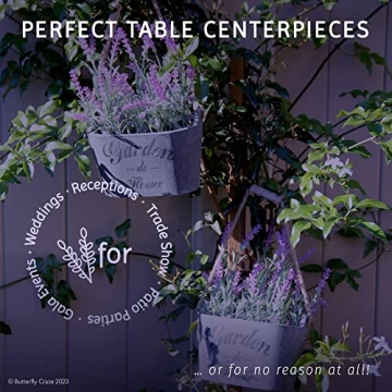 Butterfly Craze Lavender in Rustic Planters for Home