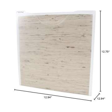 Storage Studios Paper File 3-Pack, 12.75 x 12.95 x 0.13 Inches, Clear (CH92602)