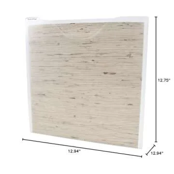 Storage Studios Paper File 3-Pack, 12.75 x 12.95 x 0.13 Inches, Clear (CH92602)