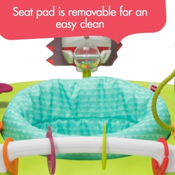 Tiny Love 4-in-1 Mobile Activity Center for Babies