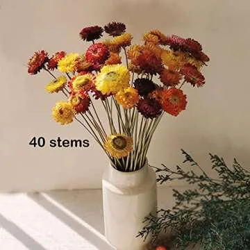 Color Life Natural Dried Flower Bouquet for Every Occasion
