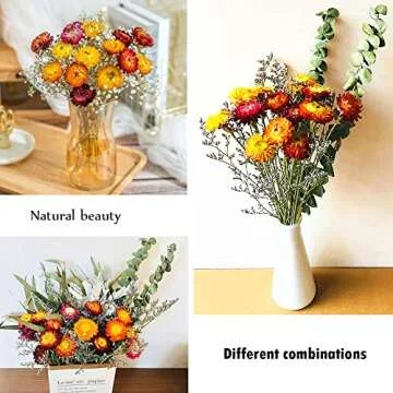 Color Life Natural Dried Flower Bouquet for Every Occasion