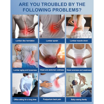 Back Brace for Lower Back Pain Relief - Ergonomic Support Brace