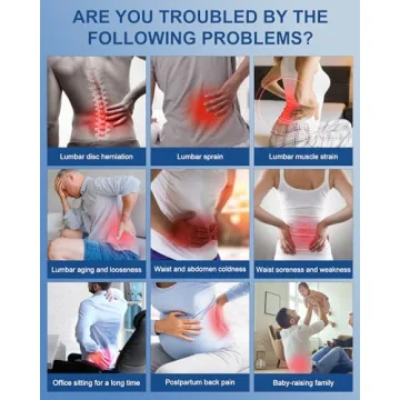 Back Brace for Lower Back Pain Relief - Ergonomic Support Brace