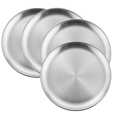 HaWare 4-Piece 18/8 Stainless Steel Plates, Metal 304 Dinner Dishes for Kids Toddlers Children, 10 I...