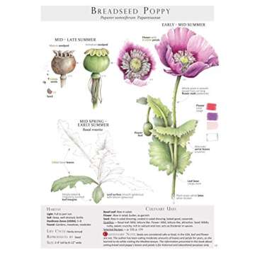 Foraging & Feasting: A Field Guide and Wild Food Cookbook by Dina Falconi. Illustrator Wendy Hollender. Publisher Botanical Arts Press, LLC.