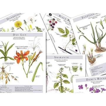 Foraging & Feasting: A Field Guide and Wild Food Cookbook by Dina Falconi. Illustrator Wendy Hollender. Publisher Botanical Arts Press, LLC.