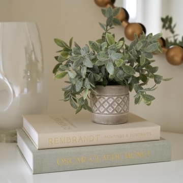 Elegant Decorative Books Set for Home Decor and Storage