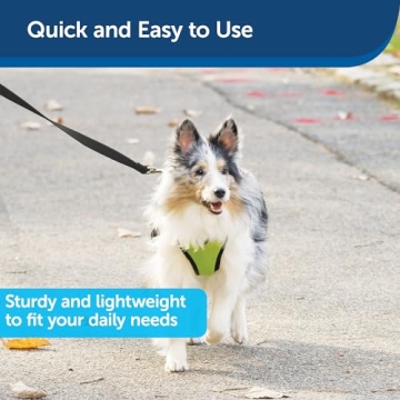 Durable PetSafe Nylon Dog Leash for Every Size