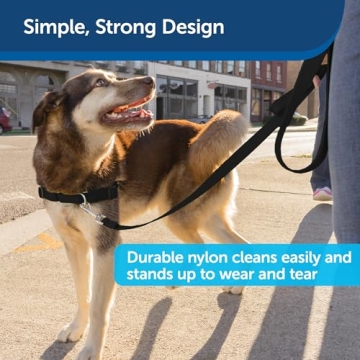 Durable PetSafe Nylon Dog Leash for Every Size