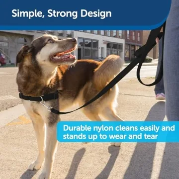 Durable PetSafe Nylon Dog Leash for Every Size