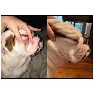 Squishface Tear Stain Paste - Cleans Dog Tear Stains - 2 Oz, Great for Long Hair Dogs Such as Poodles, Terriers and Maltese