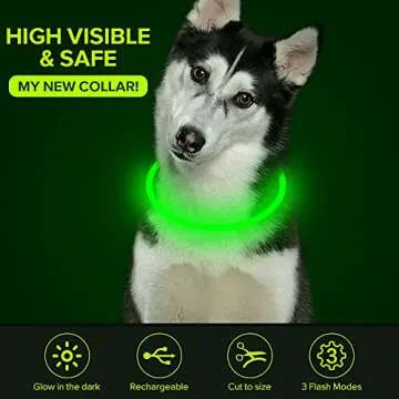 Colaseeme LED Dog Collar Light Up Dog Collars 1 Count USB Rechargeable TPU Glow Safety Basic Dog Collars, Please Do Not Use Fast Charging (Green)