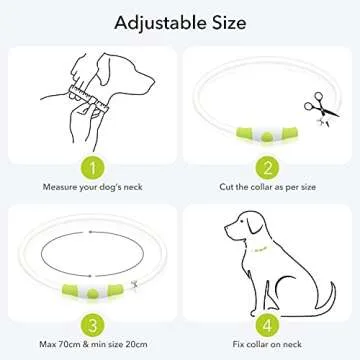 Colaseeme LED Dog Collar Light Up Dog Collars 1 Count USB Rechargeable TPU Glow Safety Basic Dog Collars, Please Do Not Use Fast Charging (Green)