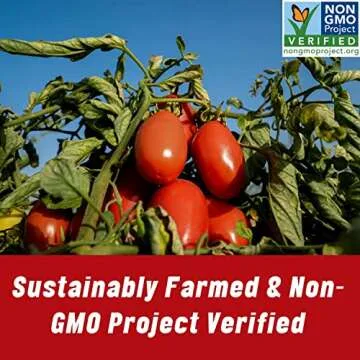 Mutti Cherry Tomatoes (Ciliegini), 14 oz. | 12 Pack | Italy’s #1 Brand of Tomatoes | Fresh Taste for Cooking | Canned Tomatoes | Vegan Friendly & Gluten Free | No Additives or Preservatives