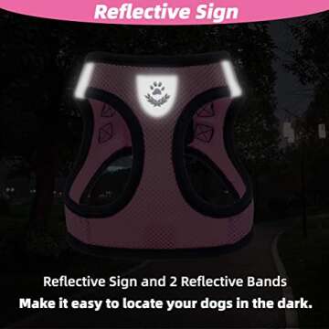 PAWCHIE Puppy Harness & Leash Set for Small Dogs & Cats