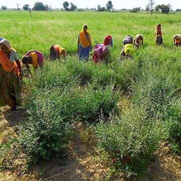 Henna Powder - Red Hair Dye - Fresh and Pure Organic - 7 ounce - Indian Natural Hair Care