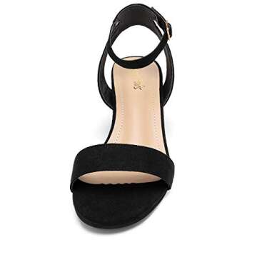 DREAM PAIRS Women's Open Toe Ankle Strap Low Block Chunky Heels Sandals Party Dress Pumps Shoes,Size 8,Black/Suede,CARNIVAL