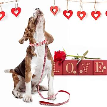 azuza Valentine's Day Day Dog Collar and Leash Set, Adjustable Pink Dog Collar with Sparkly Red Hear...