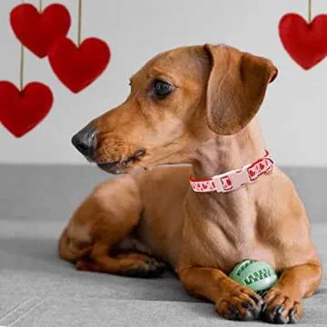 azuza Valentine's Day Day Dog Collar and Leash Set, Adjustable Pink Dog Collar with Sparkly Red Heart Pattern Matching Leash Valentines Day Gift for Medium Dogs