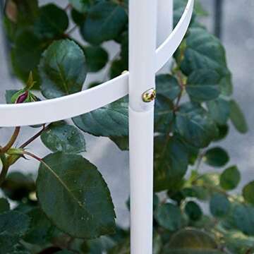 YISHEN Garden Plant Support Stakes, Iron Metal Trellis Vegetable Stand, Garden Obelisk Outdoor Rose Tree Climbing Plant Frame Stand Growth Support for Garden Climbing Vines Flowers (59x12.6in)