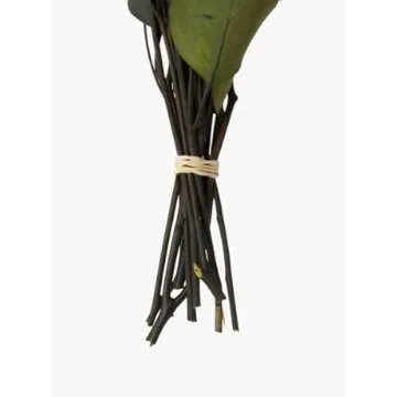 Elegant Preserved Eucalyptus For Timeless Home Decor