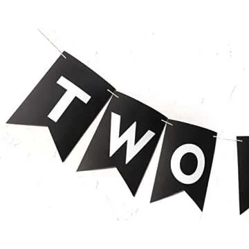 Two Fast Banner - Two Fast Car Birthday Party - Vroom Car Party - Second Birthday Party - Two Fast Flag Banner