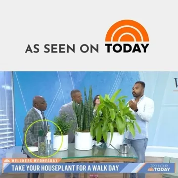 Brass Soil Probe for Easy Plant Care without Batteries