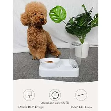 Marchul Cat Bowls, Cat Food Bowls, 15° Tilted Cat Bowl for Indoor Cats, Cat Food and Water Bowl Set, Raised Cat Bowl for Cats and Small Dogs