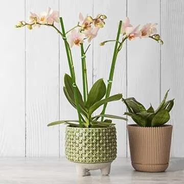 Plant Stakes,20Pcs Plant Sticks,Garden Green Bendable Single Stem Plant Support Stakes for Indoor and Outdoor Plants,Potted Plants,Flowers Orchid Peony Rose-16 Inches