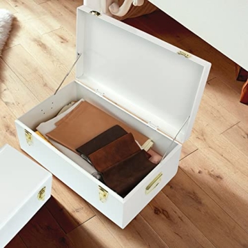 Vixdonos Metal Trunk Decorative Storage Box Set (White)