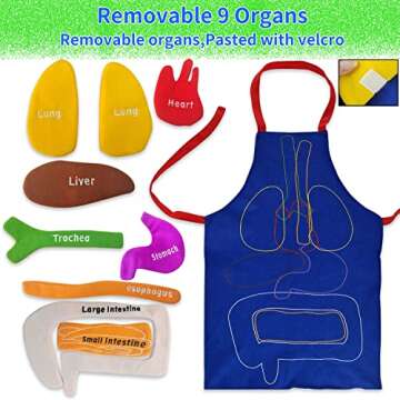 BOCZIF 3D Organ Apron, Human Body Organs Apron Awareness Educational Tool Toy for Kids, Anatomy Costume Apron Plush Stuffed Viscera Model Removable for Home Preschool Early Childhood Teaching Aid