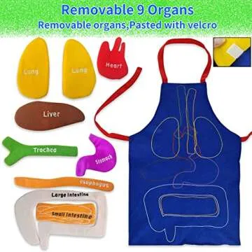 BOCZIF 3D Organ Apron, Human Body Organs Apron Awareness Educational Tool Toy for Kids, Anatomy Costume Apron Plush Stuffed Viscera Model Removable for Home Preschool Early Childhood Teaching Aid
