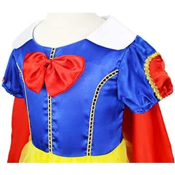 Princess Dress for Toddler Girls with Accessories