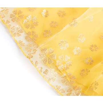 Princess Dress for Toddler Girls with Accessories