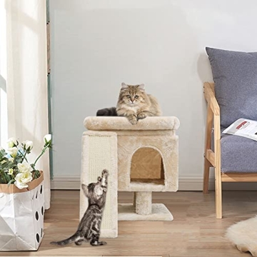 Cat Tree for Large Cats and Kittens – Beige