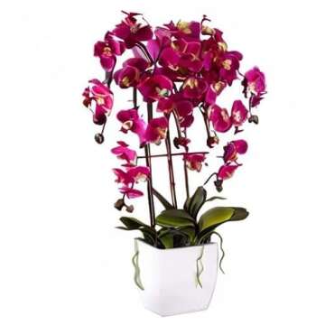Dahlia Studios Potted Silk Faux Artificial Flowers Arrangements Realistic Purple Fuchsia Orchid in White Ceramic Pot for Home Decoration Living Room Office Bedroom Bathroom Kitchen 29" High