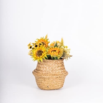 DOKOT Seagrass Basket for Plants and Storage Solutions