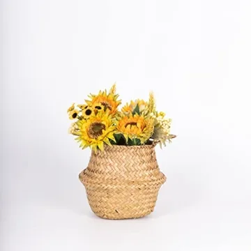 DOKOT Seagrass Basket for Plants and Storage Solutions