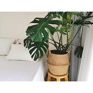 DOKOT Seagrass Basket for Plants and Storage Solutions