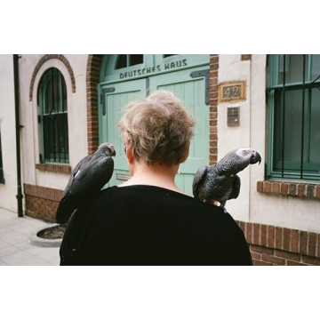 Lomography Color Negative 400 ISO Film 3 Pack