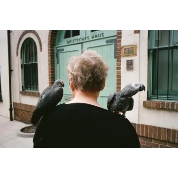 Lomography Color Negative 400 ISO Film 3 Pack