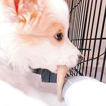 Perfect Pet Chews Deer Antler Dog Chew - Grade A, All Natural, Organic, and Long Lasting Treats - Ma...