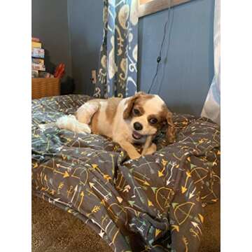 Perfect Pet Chews Deer Antler Dog Chew - Grade A, All Natural, Organic, and Long Lasting Treats - Made from Naturally Shed Antlers in The USA (B. Small - Dog Weight 10-20 Lbs, 5 - Pack)