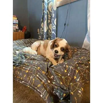 Perfect Pet Chews Deer Antler Dog Chew - Grade A, All Natural, Organic, and Long Lasting Treats - Made from Naturally Shed Antlers in The USA (B. Small - Dog Weight 10-20 Lbs, 5 - Pack)