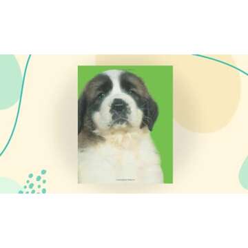 Bright Baby Touch & Feel Perfect Pets for Engaging Storytime