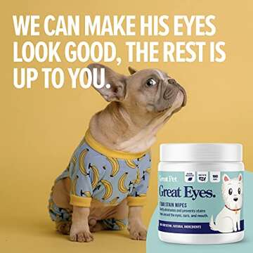 Great Pets - Great Eyes - Safe & Gentle Tear Stain Remover for Dogs - Natural Eye Wipes for Dogs - Made in The USA & Easy to Use Pre-Soaked Wipes - 100 Wipes