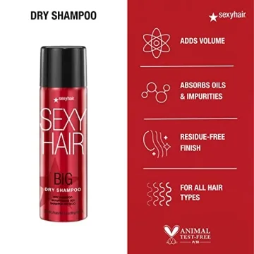Big Sexy Hair Dry Shampoo for All Hair Types | 3.4 Oz