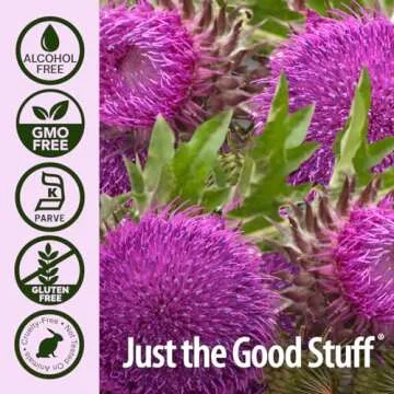 Nature's Answer Milk Thistle 2 Ounce Extract - Alcohol Free, Non GMO, Liver Support Supplement for Everyone - Liver Detox, Made in USA